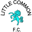 Little Common