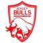 Jersey Bulls